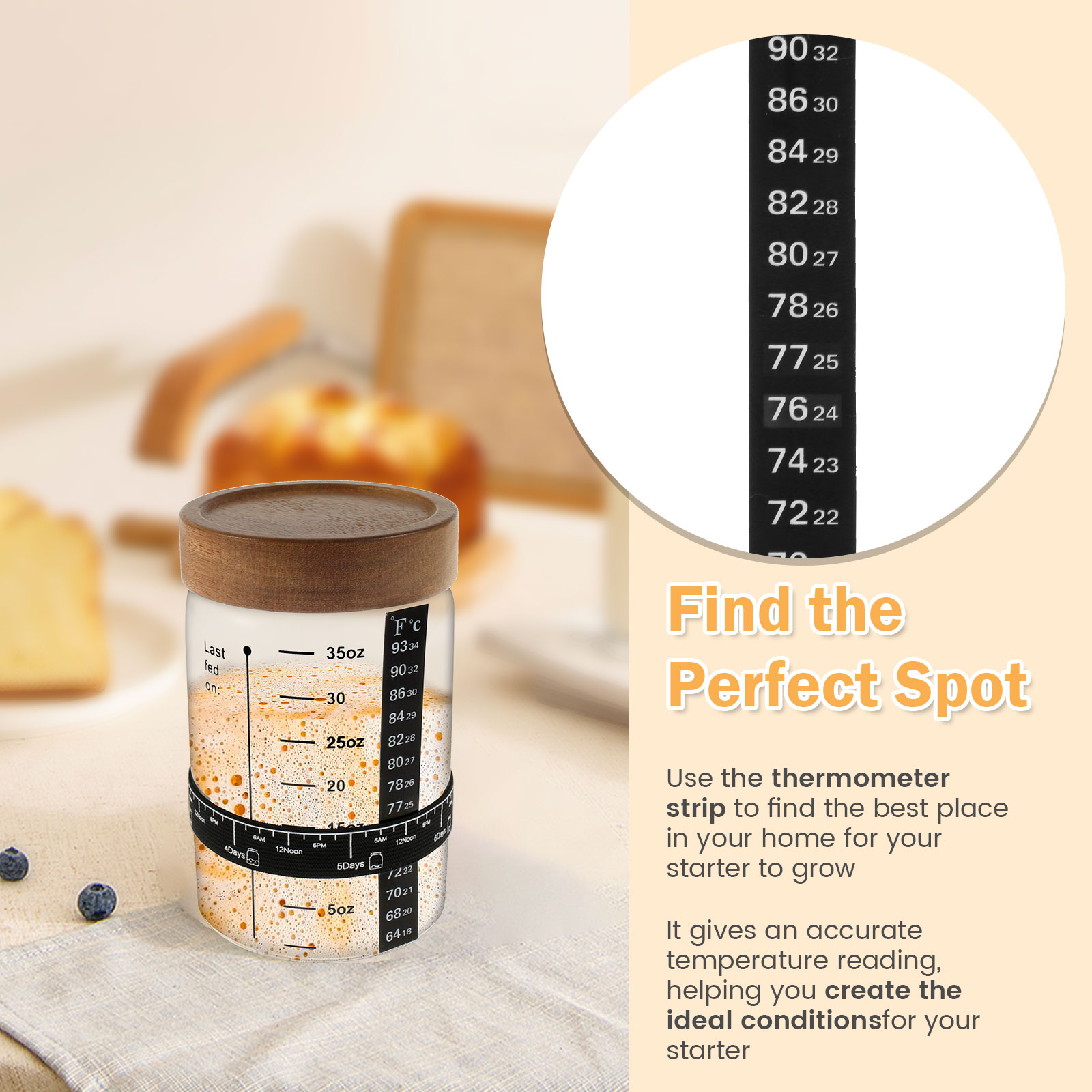 Kit de frasco inicial de massa - Kitchen Baking Containers avaliação e preço